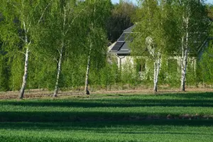 green HOA